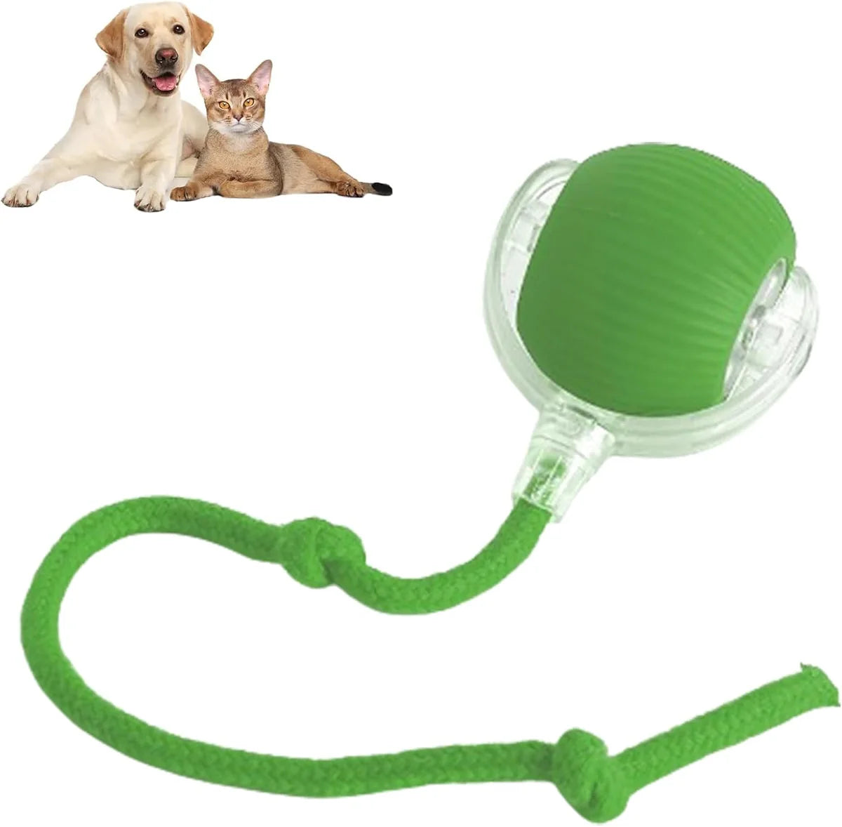 Self-Rolling Interactive Pet Toy Ball