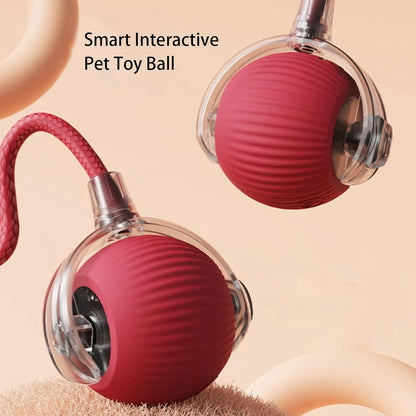 Smart Interactive Pet Toy Ball - Hot selling - last day of sale !